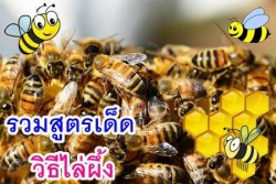 วิธีไล่ผึ้ง (2)